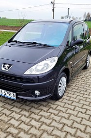 ŚLICZNY BENZYNIACZEK-2