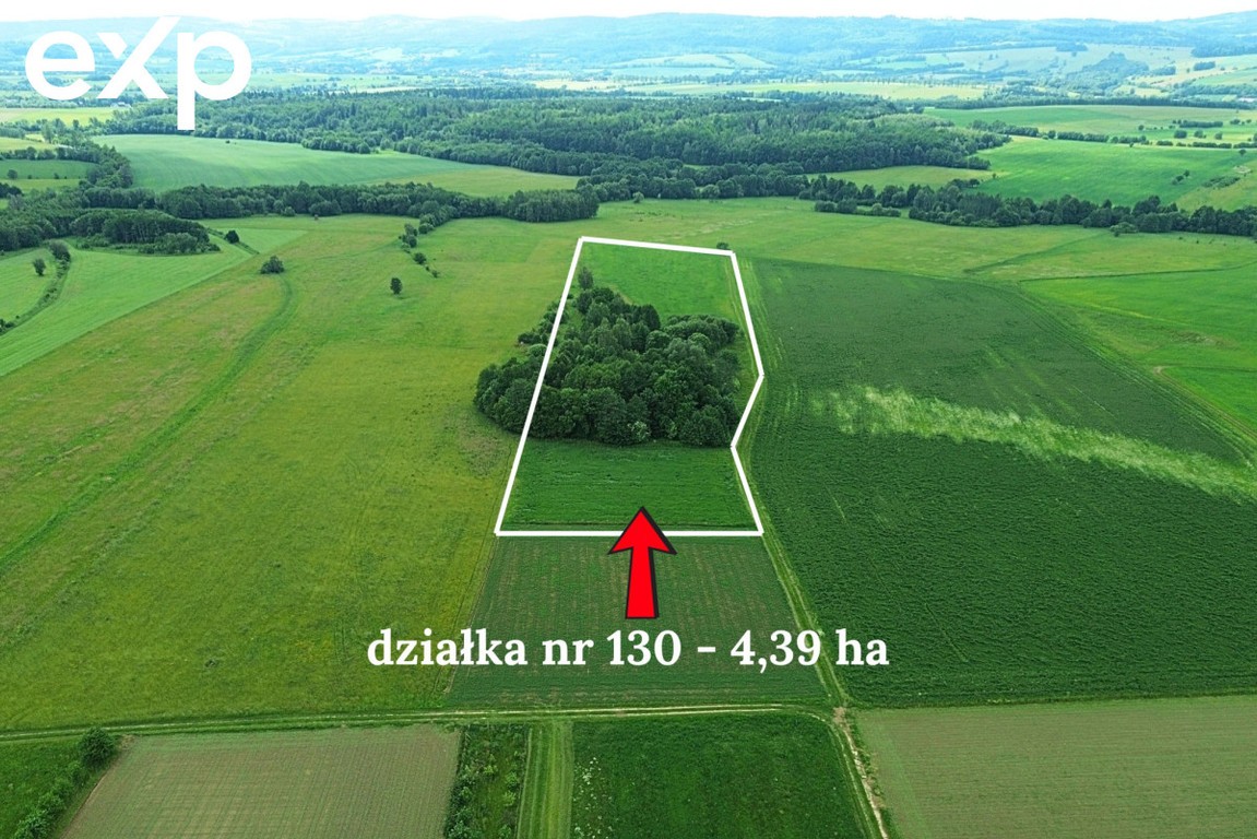 Działka rolna - Widok 2