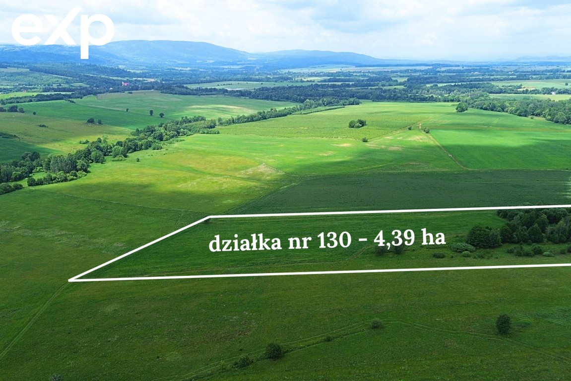 Działka rolna - Widok 3