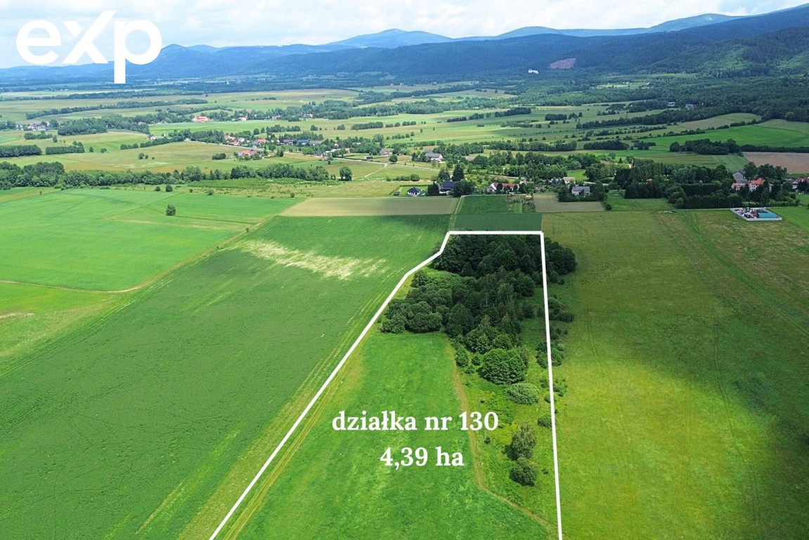 Działka rolna - Widok 4