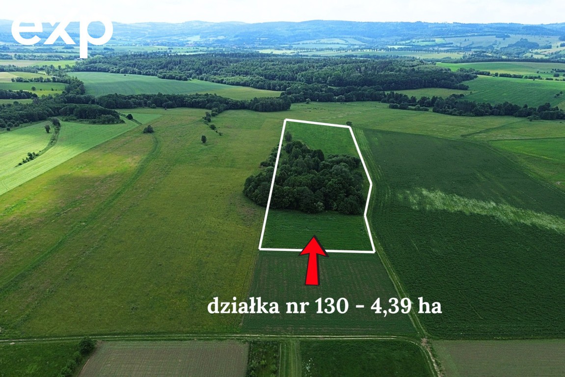 Działka rolna - Widok 5