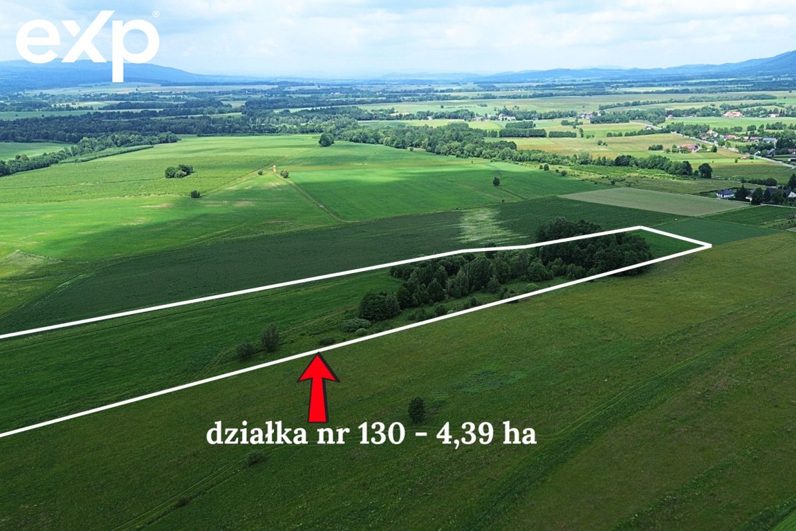 Działka rolna - Widok 6