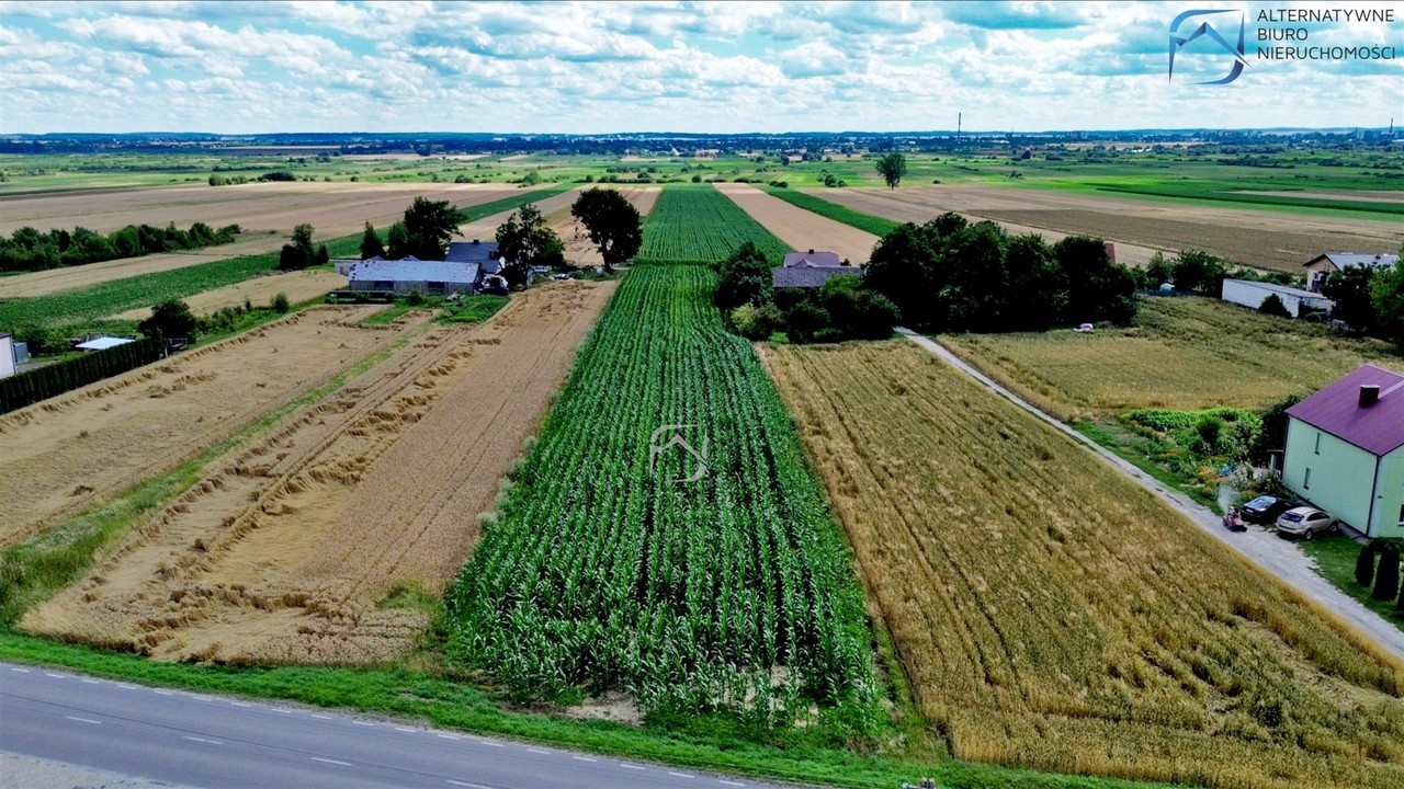 Działki budowlane po 1000 m² - 8 min do Zamościa - Widok 4