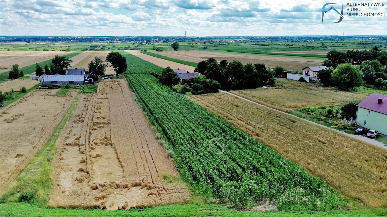 Działki budowlane po 1000 m² - 8 min do Zamościa - Widok 6