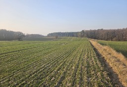 Działka w Lubochni koło jeziora z MPZP 1620m2