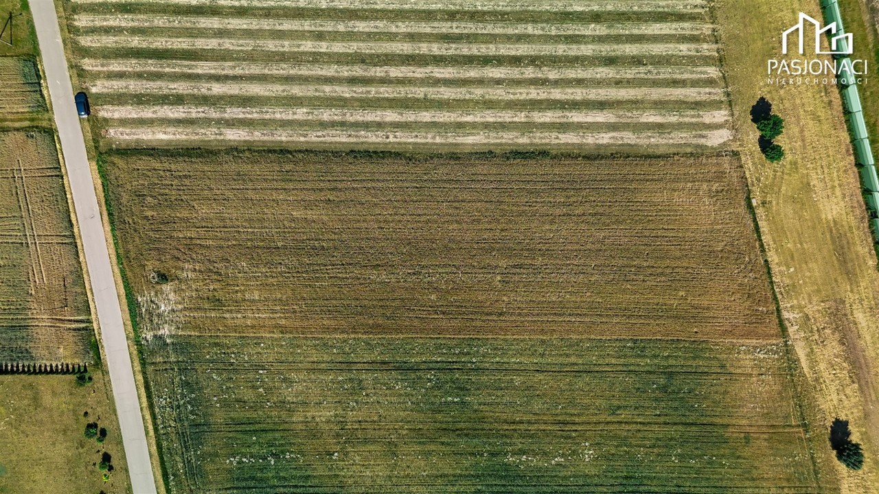 Działka budowlana 3711m² 20min od Lublina - Widok 3