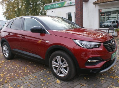 Opel Grandland X Automat Kamera Cofania Parktronic-1