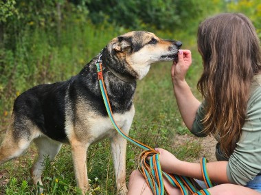 A ta piękna dama wciąż jest sama - adoptuj Sarę-1