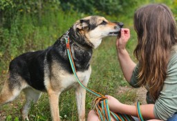 A ta piękna dama wciąż jest sama - adoptuj Sarę