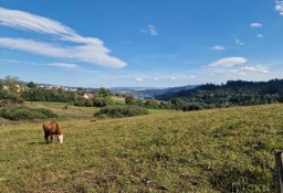 Działka usługowa Falsztyn, ul. Królowej Polski