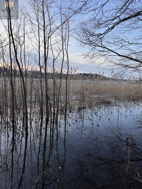 Działka rekreacyjna nad jeziorem z linią brzegową - Widok 3