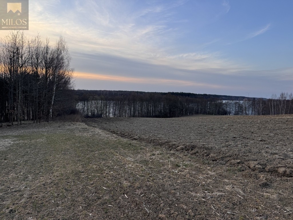 Działka rekreacyjna nad jeziorem z linią brzegową - Widok 4