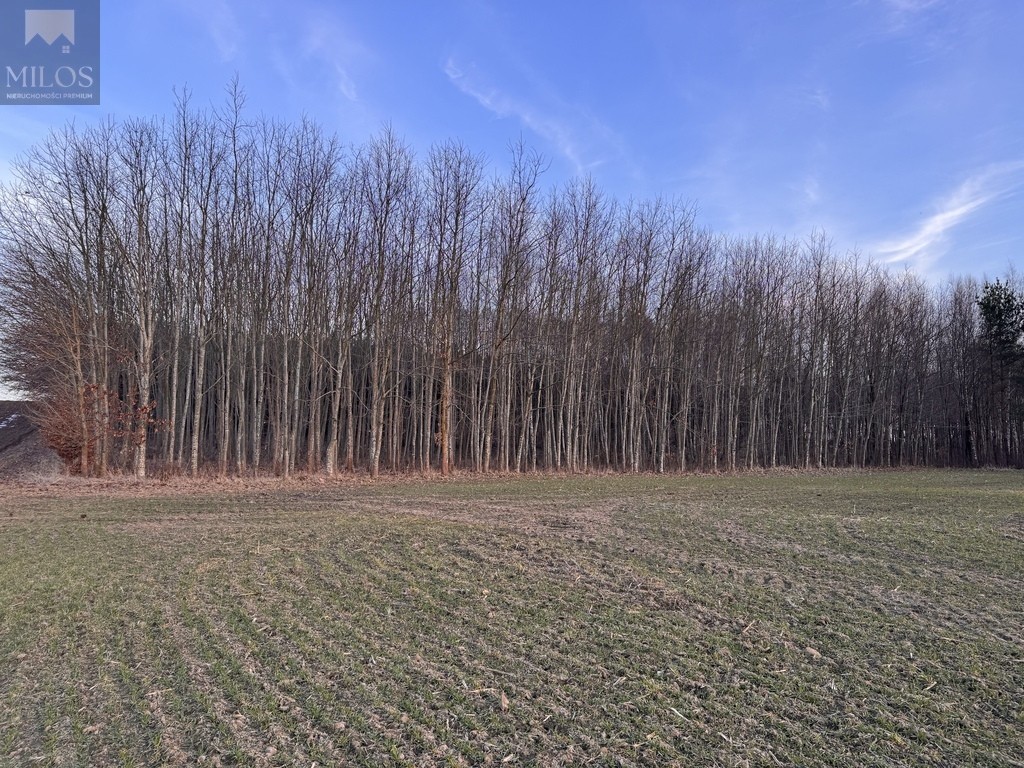 Działka rekreacyjna nad jeziorem z linią brzegową - Widok 5