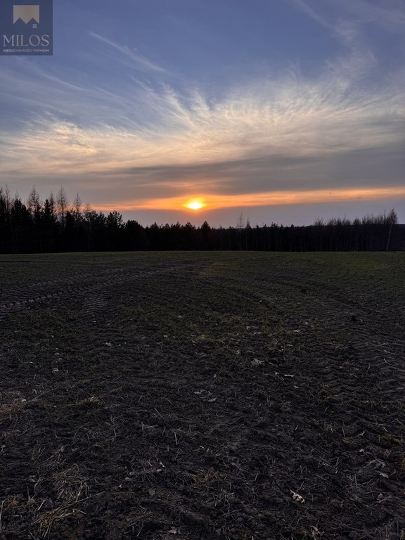 Działka rekreacyjna nad jeziorem z linią brzegową - Widok 6