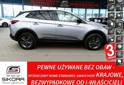 Opel Inny Opel AUTOMAT+Led+NAVI+Kamera+MARTWE Pole 3Lata GWAR. 1wł Kraj Bezwypad F2