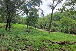 Działka budowlana Guanacaste Province