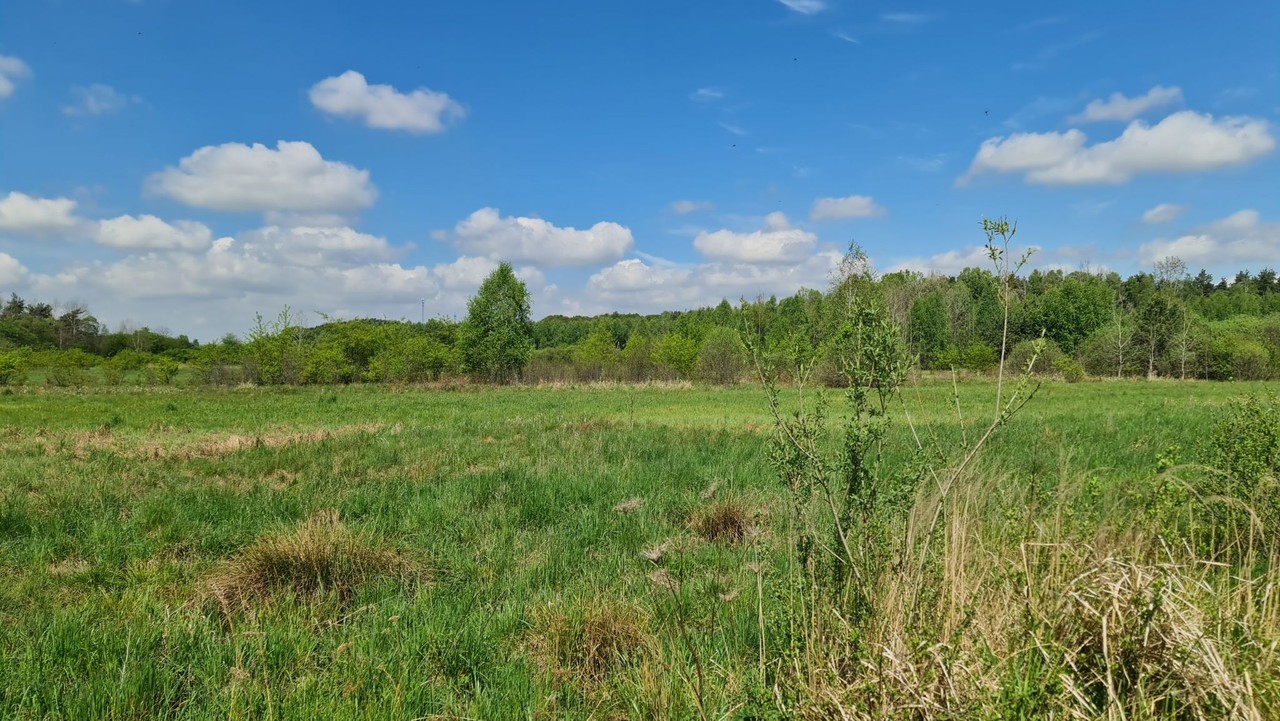 Atrakcyjna działka ciche miejsce dokoła zieleń! - Widok 6