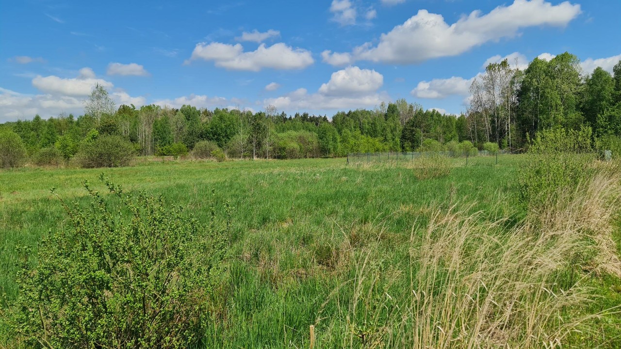 Atrakcyjna działka ciche miejsce dokoła zieleń! - Więcej