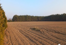 Działka budowlana Sucha