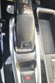 3008, Pierwszy właściciel-2