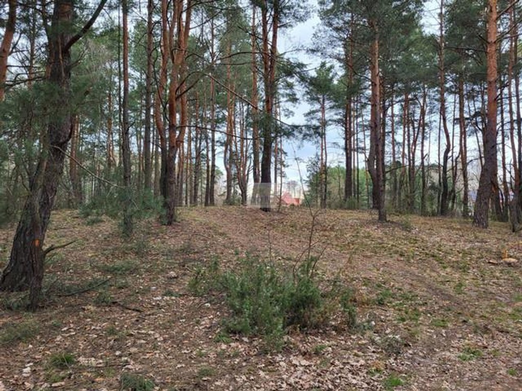 Działka 2422 m², Dobczyn Pasek – pohled 3
