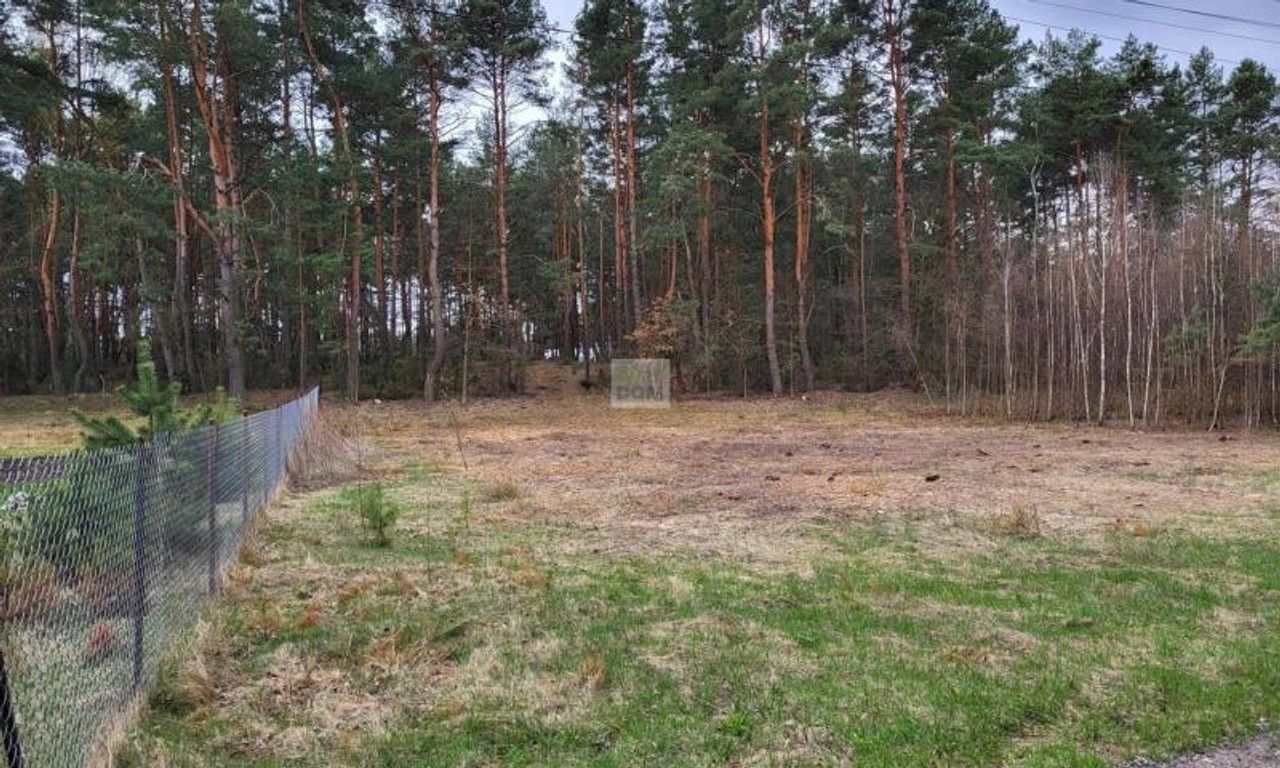 Działka 2422 m², Dobczyn Pasek – pohled 4