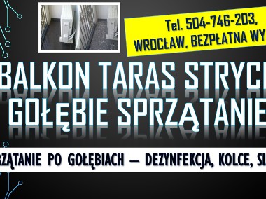 Gołębie, balkon, oczyszczenie zabrudzeń po ptakach.  Dezynfekcja, balkony, cena-1