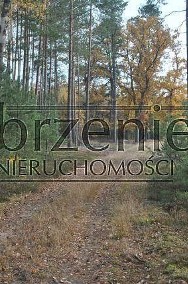 Działka leśna Lwówek, ul. Wymarzony Las-2