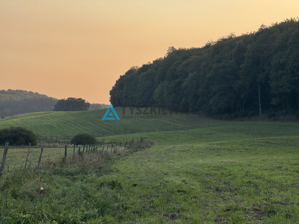 Działka przy lesie Trzepowo - Widok 3