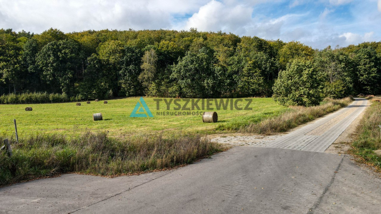 Działka przy lesie Trzepowo - Widok 4