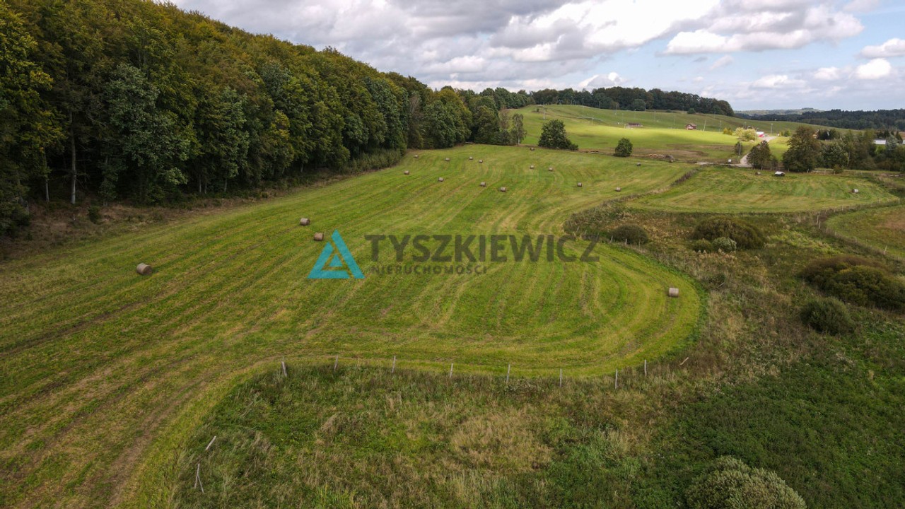 Działka przy lesie Trzepowo - Widok 5