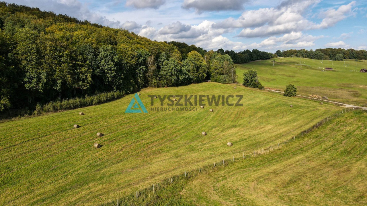 Działka przy lesie Trzepowo - Widok 6