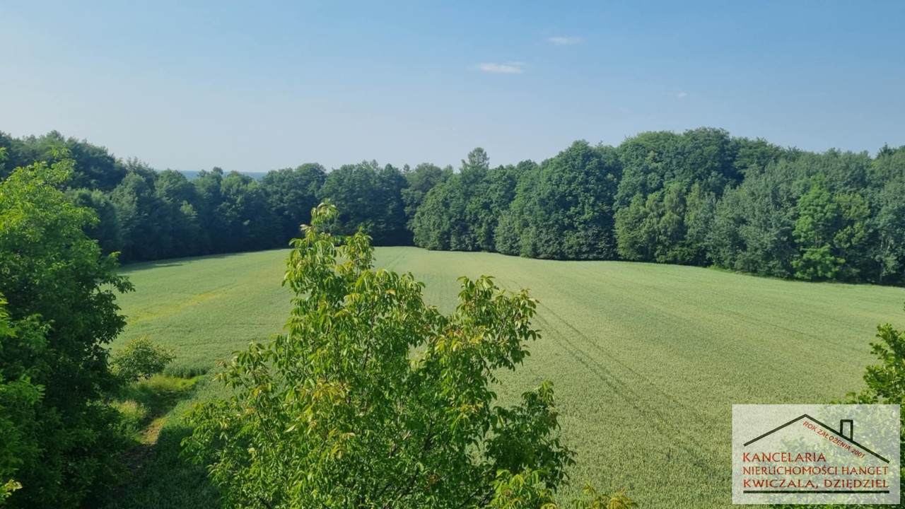 Teren rolny na sprzedaż w Ochabach Małych. - Widok 5