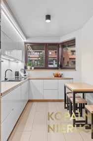 Duży apartament przy Parku Śląskim-2