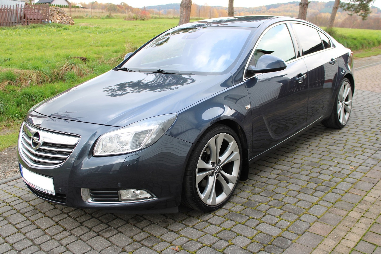 Opel Insignia I 2.0 CDTI