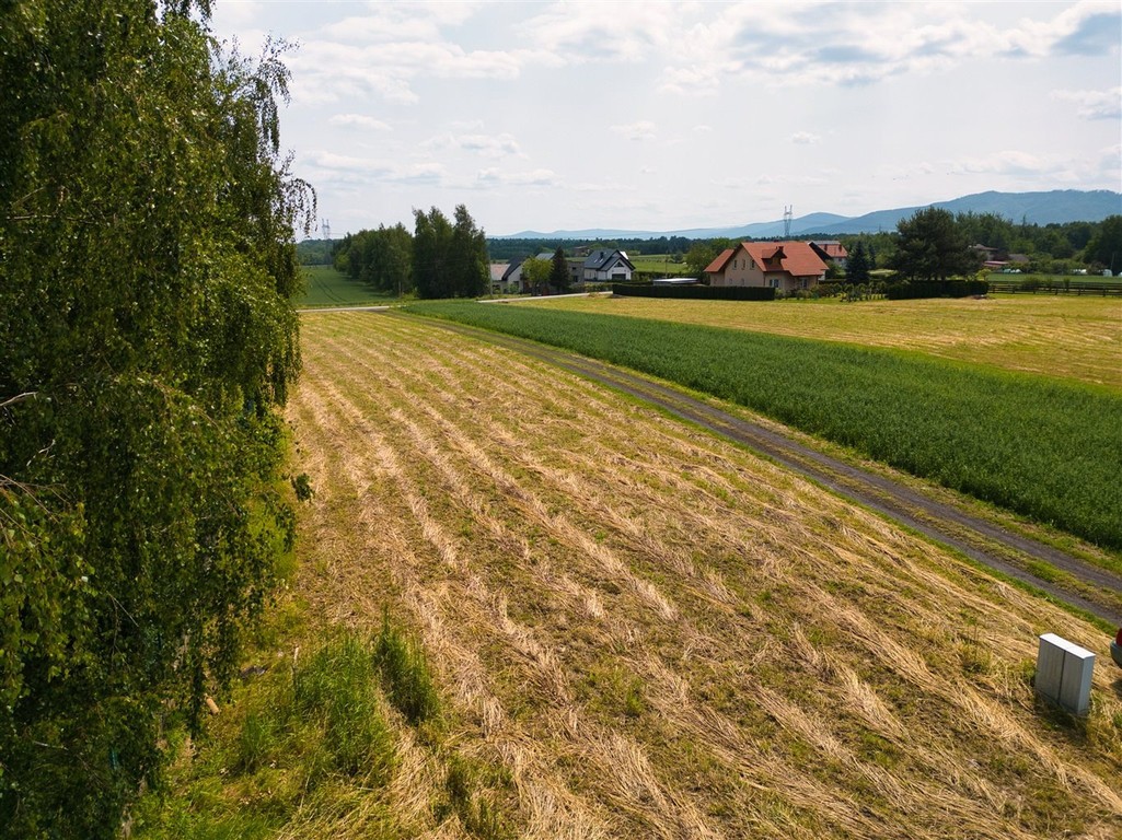 Urocza działka z widokiem na góry - Widok 5