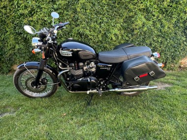 BONNEWILLE T100 piękny -1