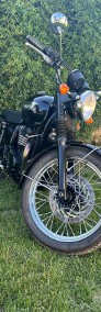 BONNEWILLE T100 piękny -4