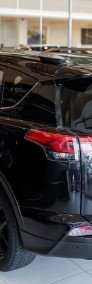 Toyota RAV 4 IV Hybrid Premium 4x2-3