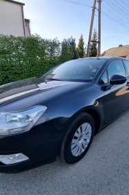 pierwszy właściciel w polsce sprowadzony z Danii rok w kraju-2
