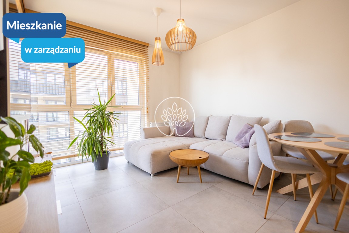 Mieszkanie do wynajęcia, 36 m² Śródmieście, Pomorska