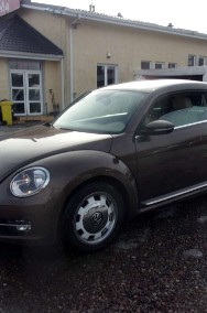 Volkswagen Beetle III-2