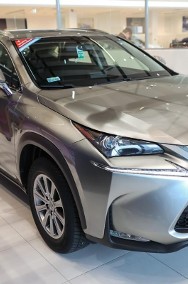 Lexus NX NX 14- 300h Elite AWD-2