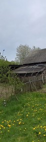 Kazimierz Dolny - domek pod lasem-3