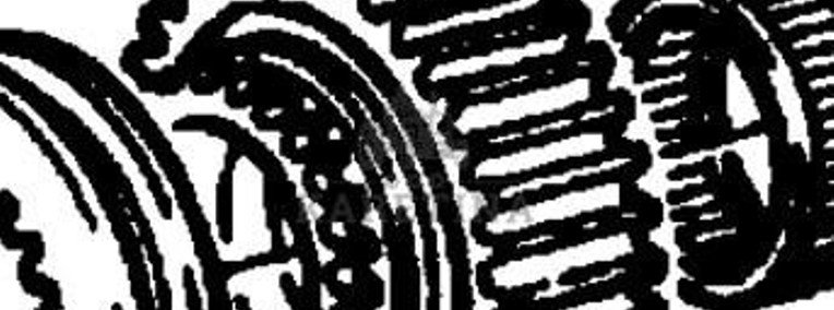 Fendt Favorit 514 Koło Zębate Walcowe CZĘŚCI 514100220160-1