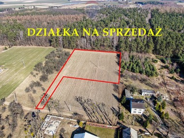 Działka pod lasem w Załuskach-1