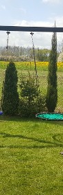 Huśtawka ogrodowa na łożyskach MOCNA bocianie gniazdo hamak SOLIDNA-4