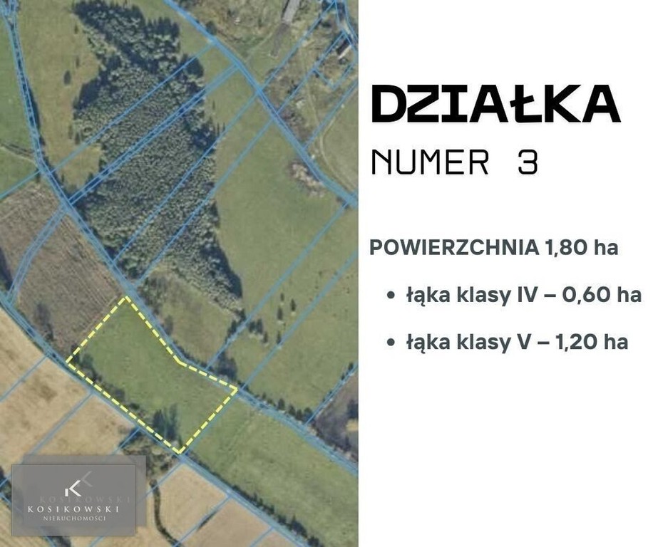 Kompleks 18,22 ha użytków rolnych - Widok 4