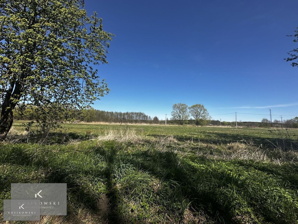 Kompleks 18,22 ha użytków rolnych - Widok 6