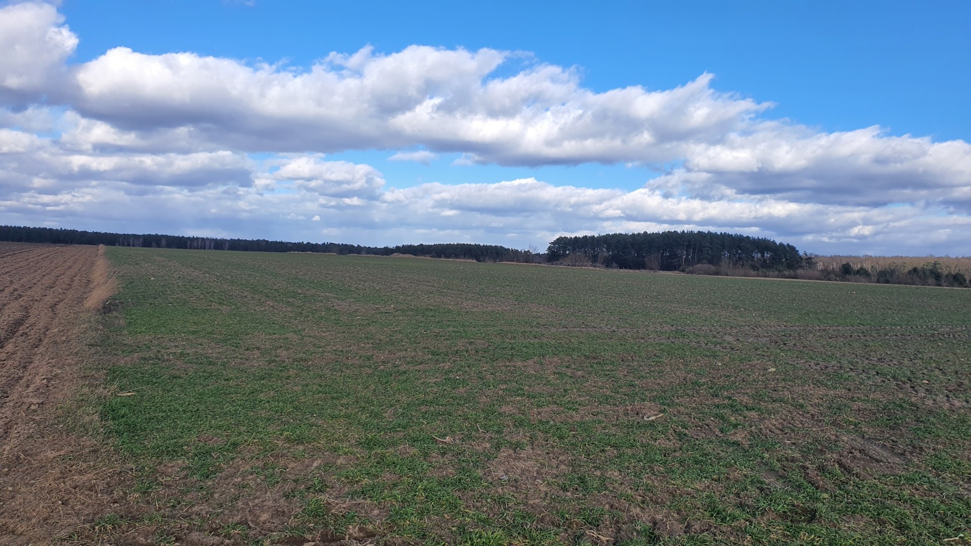Sprzedam bezpośrednio działkę budowlana - osiedle domków - Widok 2